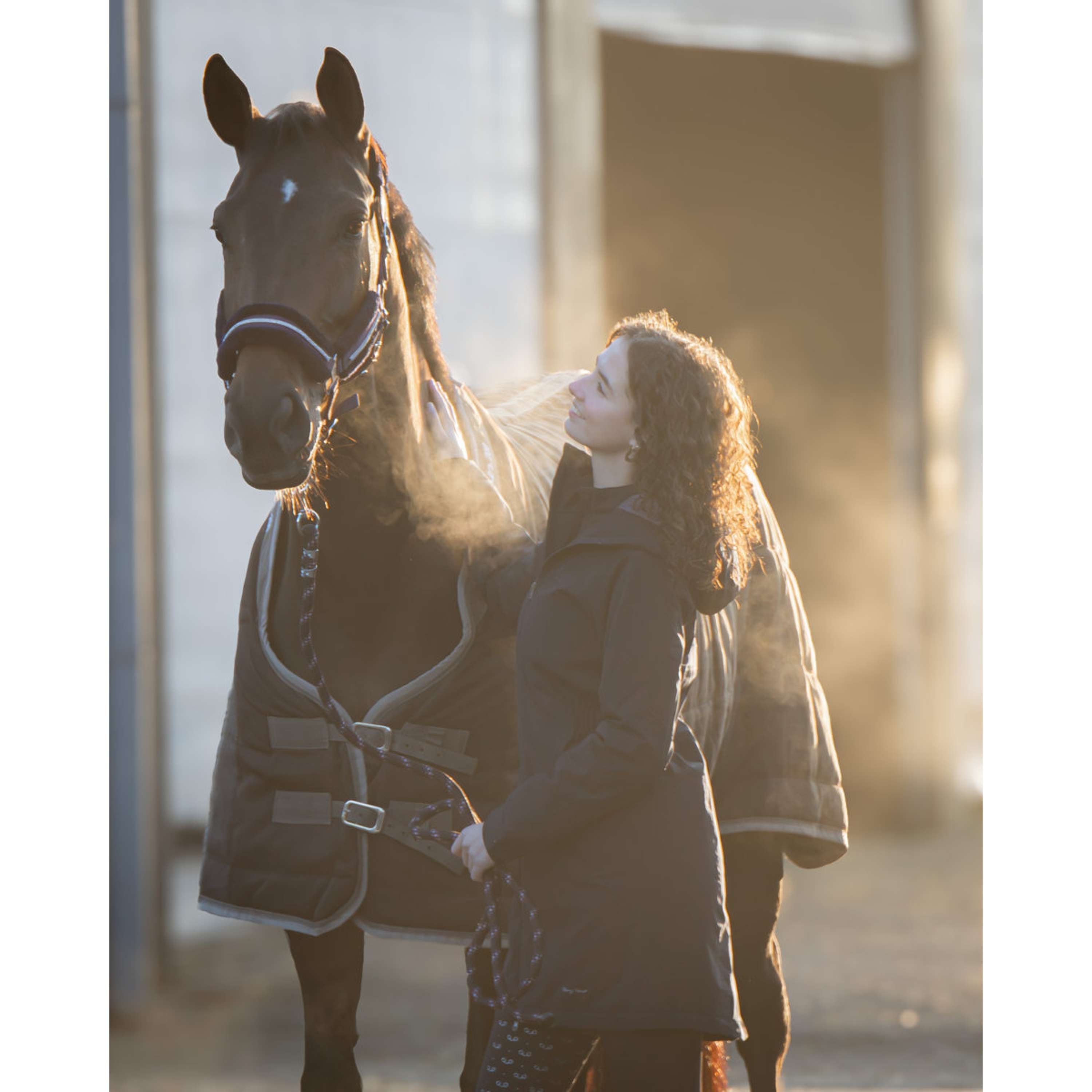Harry's Horse Manta de Establo Highliner AW26 200g Black-Sand