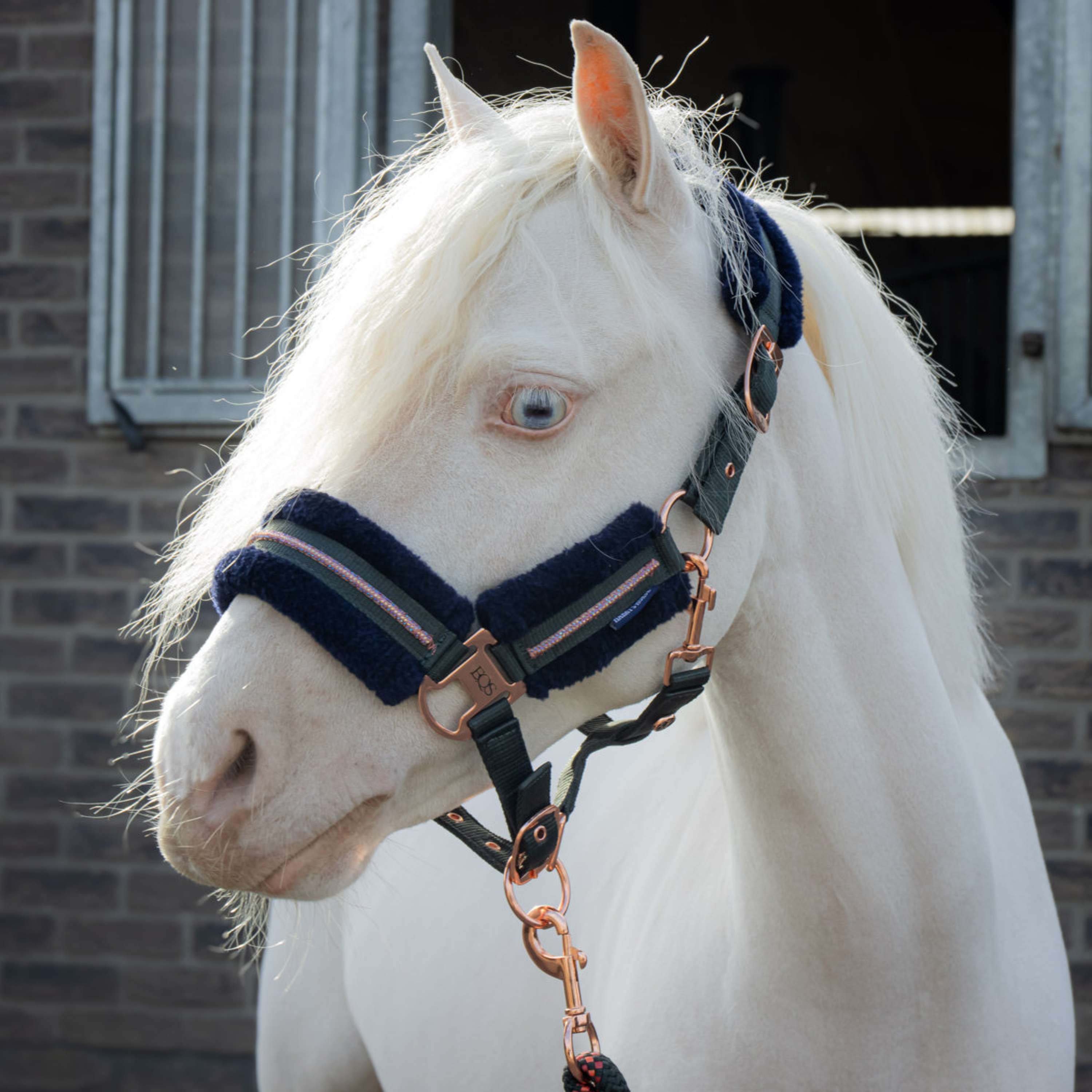 Harry's Horse Juego de Cabestro Soft Duffel Bag