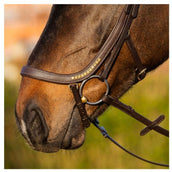 Harry's Horse Brida Anatomic Gold Marron