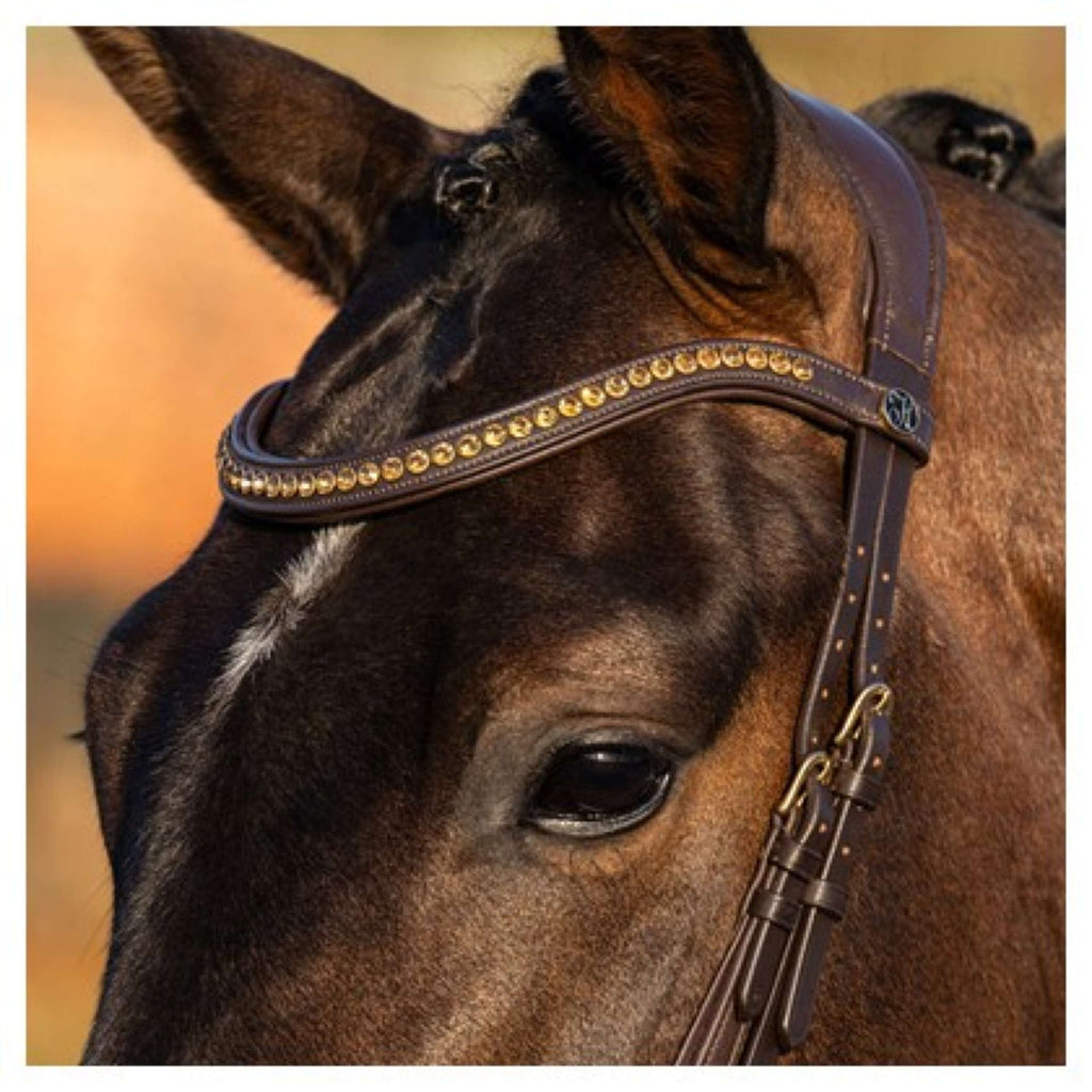 Harry's Horse Brida Anatomic Gold Marron