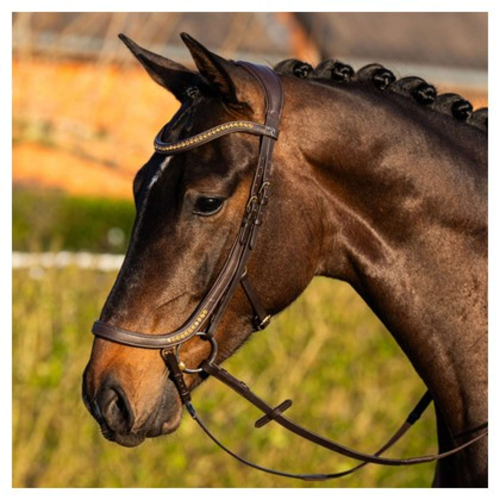 Harry's Horse Brida Anatomic Gold Marron