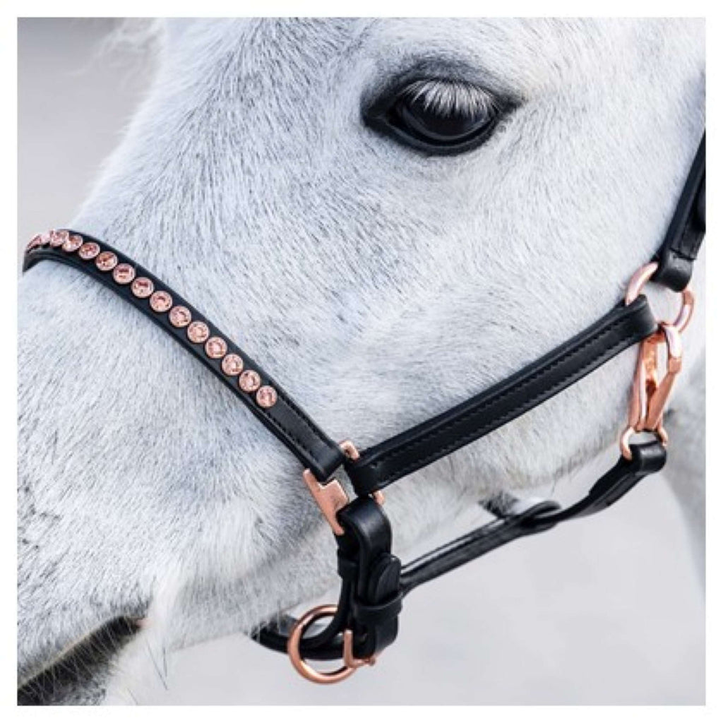 Harry's Horse Cabestro Crystal Negro/Oro Rosa