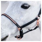 Harry's Horse Cabezada Crystal Poni/Potro Negro/Oro Rosa