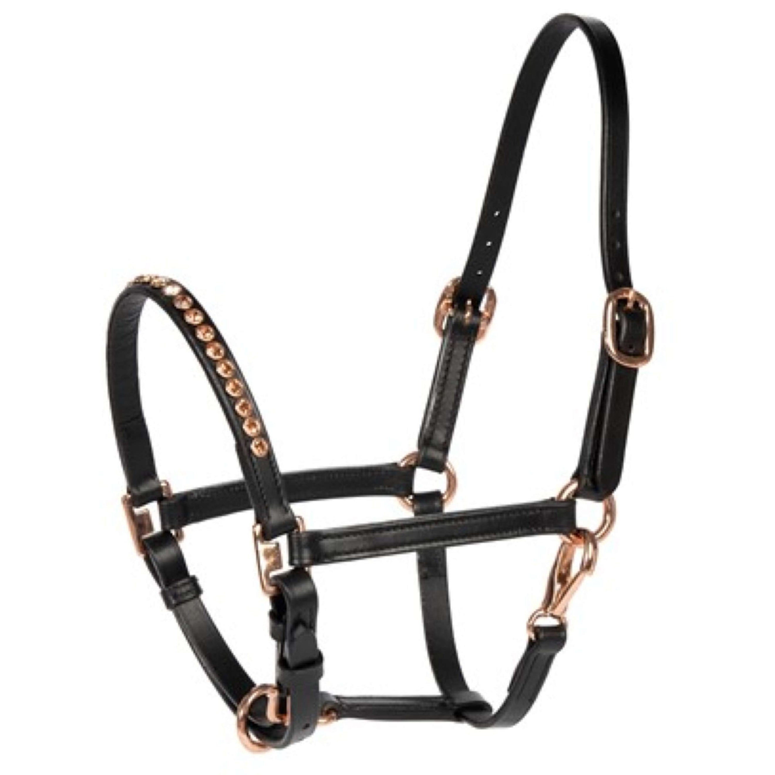 Harry's Horse Cabezada Crystal Poni/Potro Negro/Oro Rosa Harry's Horse Cabezada Crystal Poni/Potro Negro/Oro Rosa