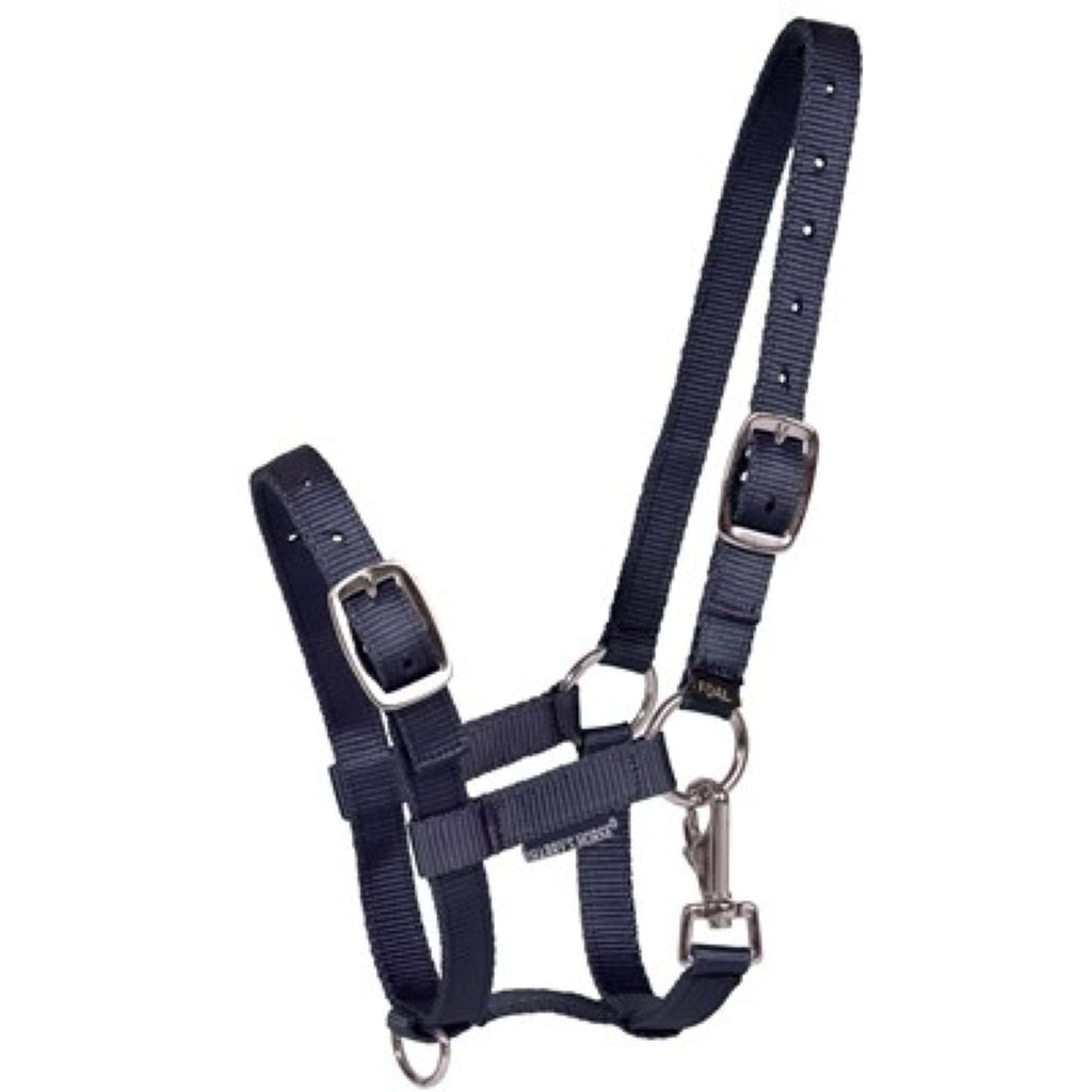 Harry's Horse Cabestro para Potro Navy