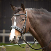 Harry's Horse Brida Comfort Leder Negro