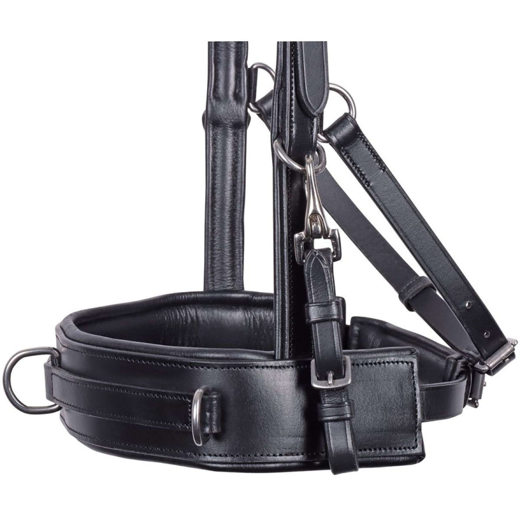 Harry's Horse Brida Comfort Leder Negro