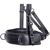 Harry's Horse Brida Comfort Leder Negro