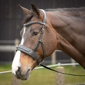 Harry's Horse Brida Comfort Leder Negro