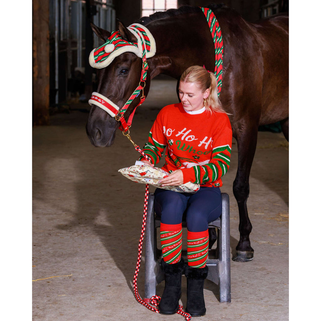 Harry's Horse Suéter Christmas '26 Rojo