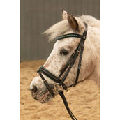 Harry's Horse Brida STOUT! Lime Negro