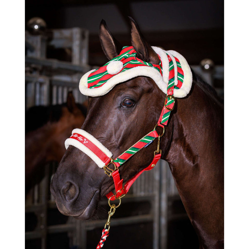 Harry's Horse Set de cabezada y gorro Christmas '26 Rojo
