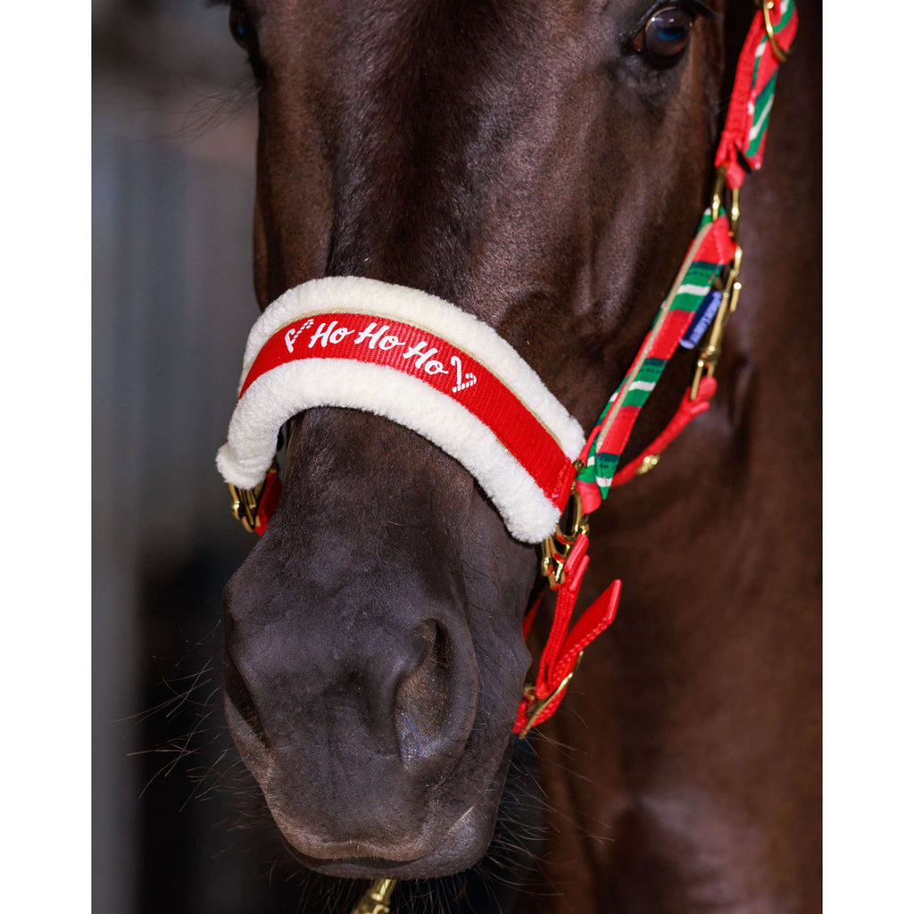 Harry's Horse Set de cabezada y gorro Christmas '26 Rojo