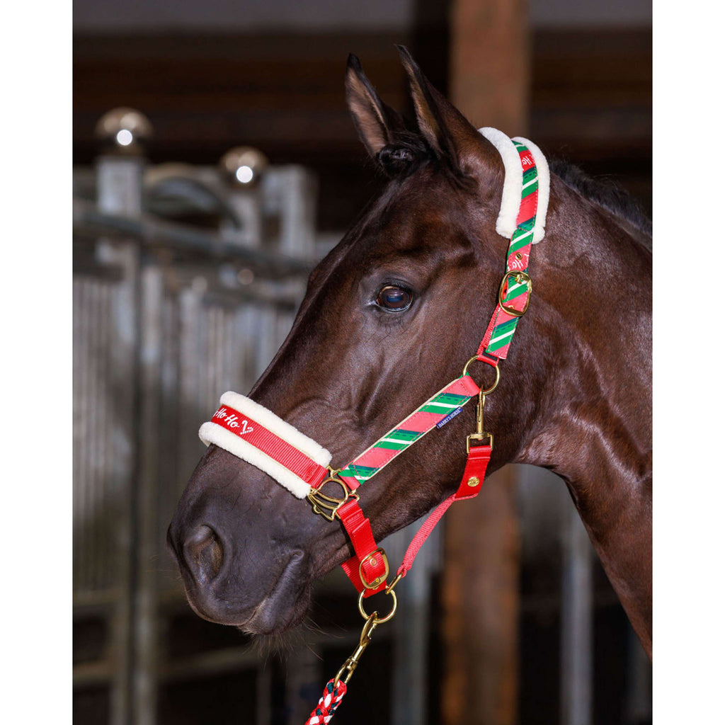 Harry's Horse Set de cabezada y gorro Christmas '26 Rojo