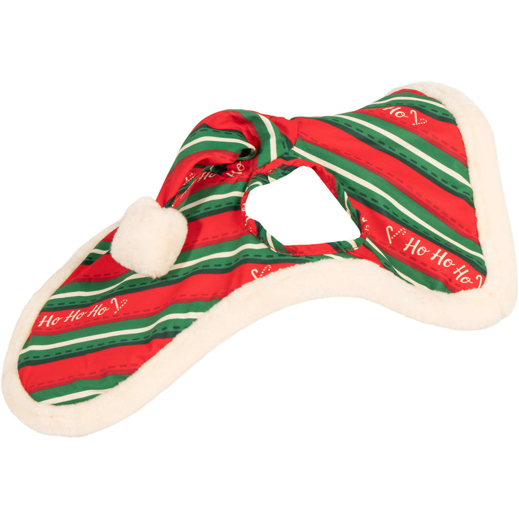 Harry's Horse Set de cabezada y gorro Christmas '26 Rojo