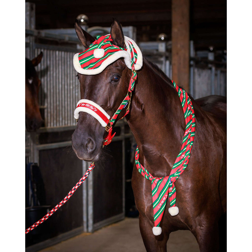 Harry's Horse Set de cabezada y gorro Christmas '26 Rojo