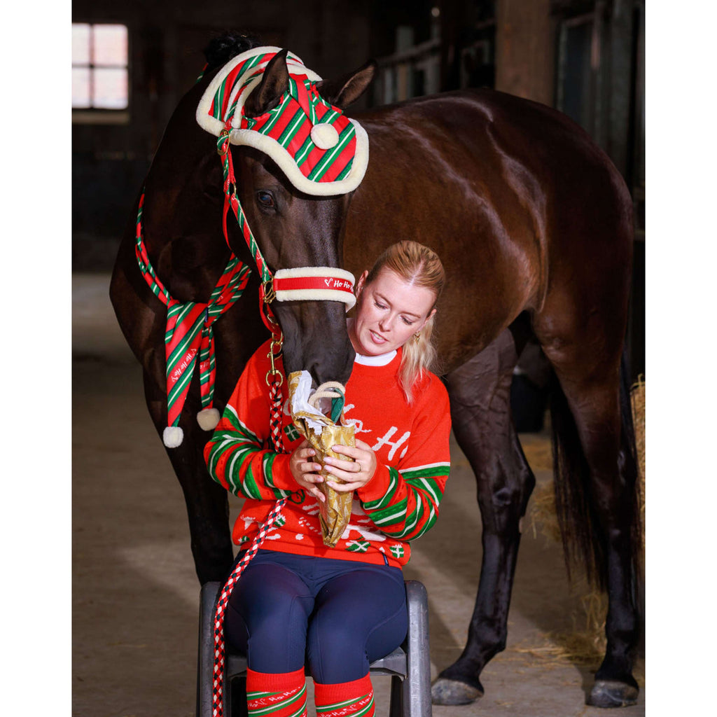 Harry's Horse Set de cabezada y gorro Christmas '26 Rojo