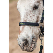 Harry's Horse Juego de Cabestro STOUT! Lime Navy