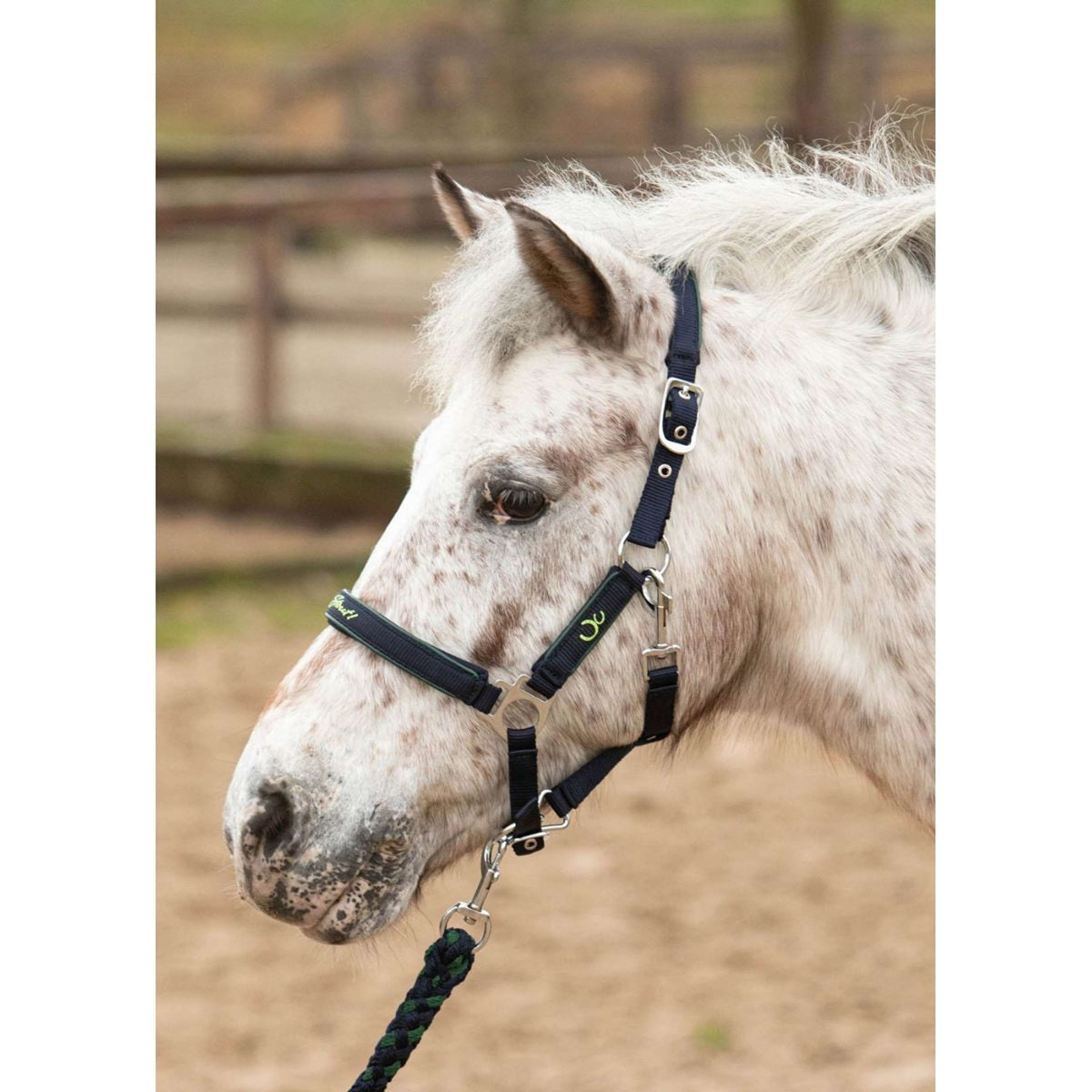 Harry's Horse Juego de Cabestro STOUT! Lime Navy