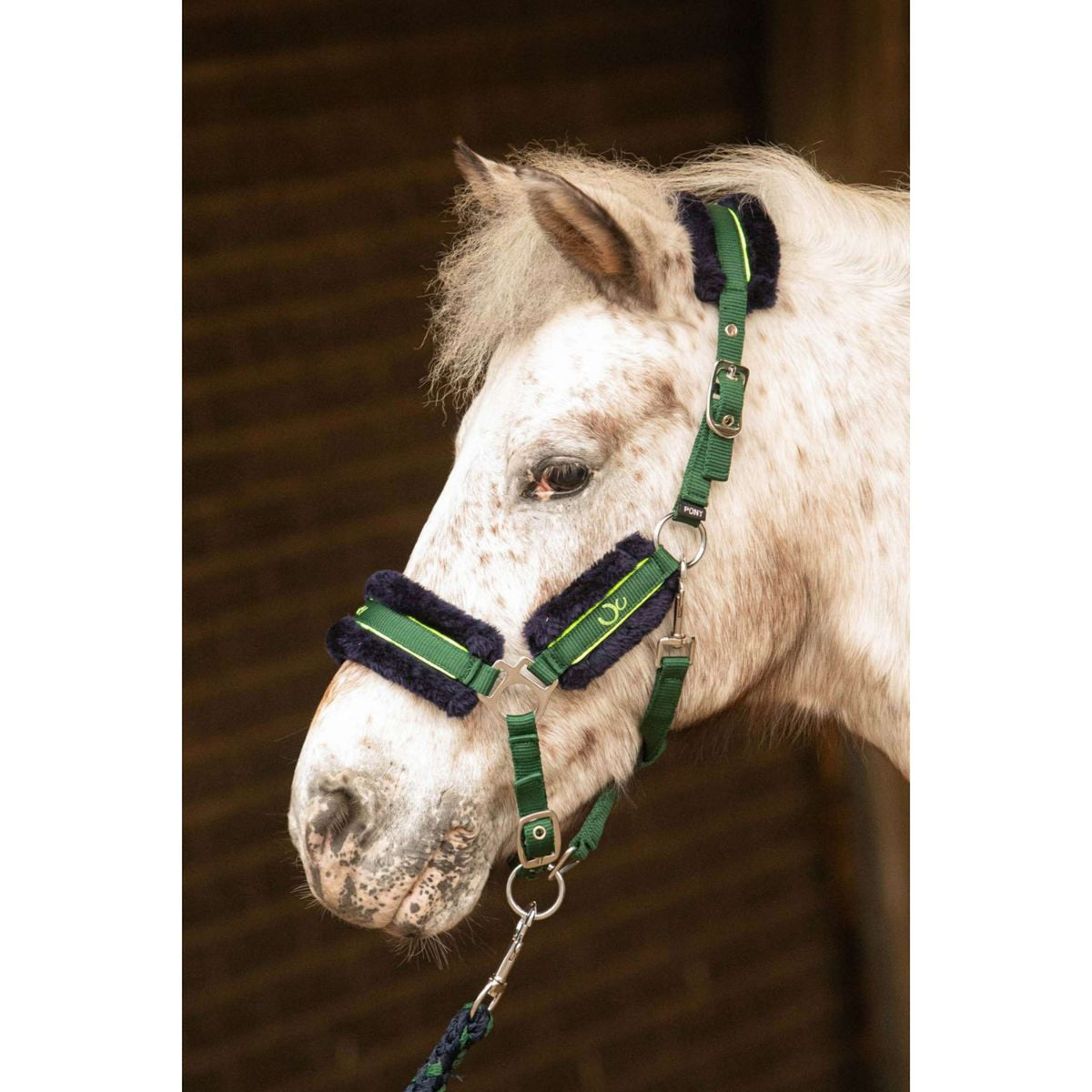 Harry's Horse Juego de Cabestro STOUT! Soft Lime Verde Militar