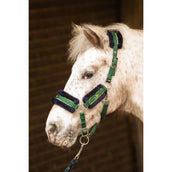 Harry's Horse Juego de Cabestro STOUT! Soft Lime Verde Militar