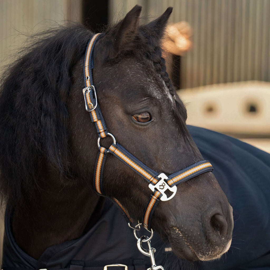 Harry's Horse Juego de Cabestro STOUT! Maverick Total Eclipse
