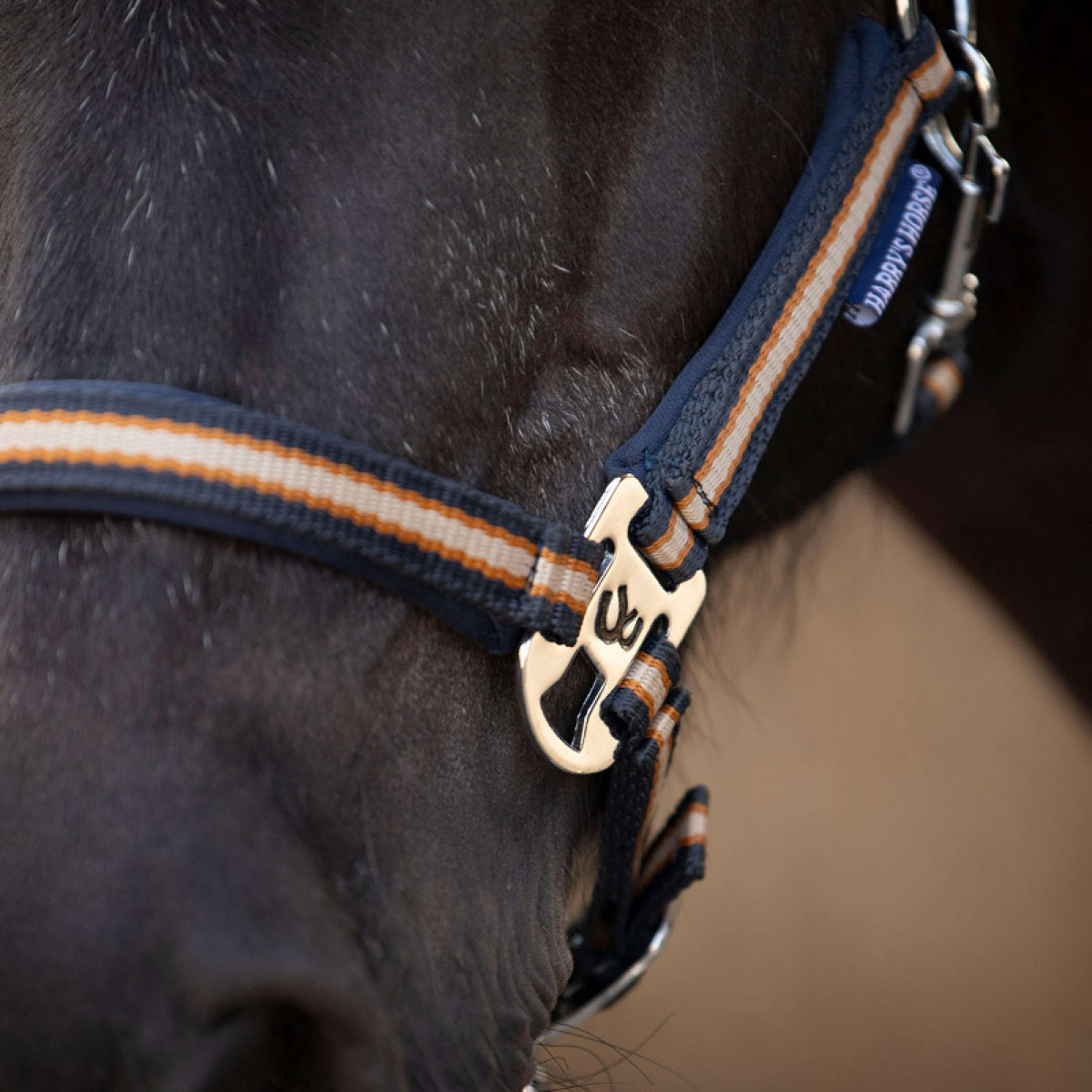 Harry's Horse Juego de Cabestro STOUT! Maverick Total Eclipse