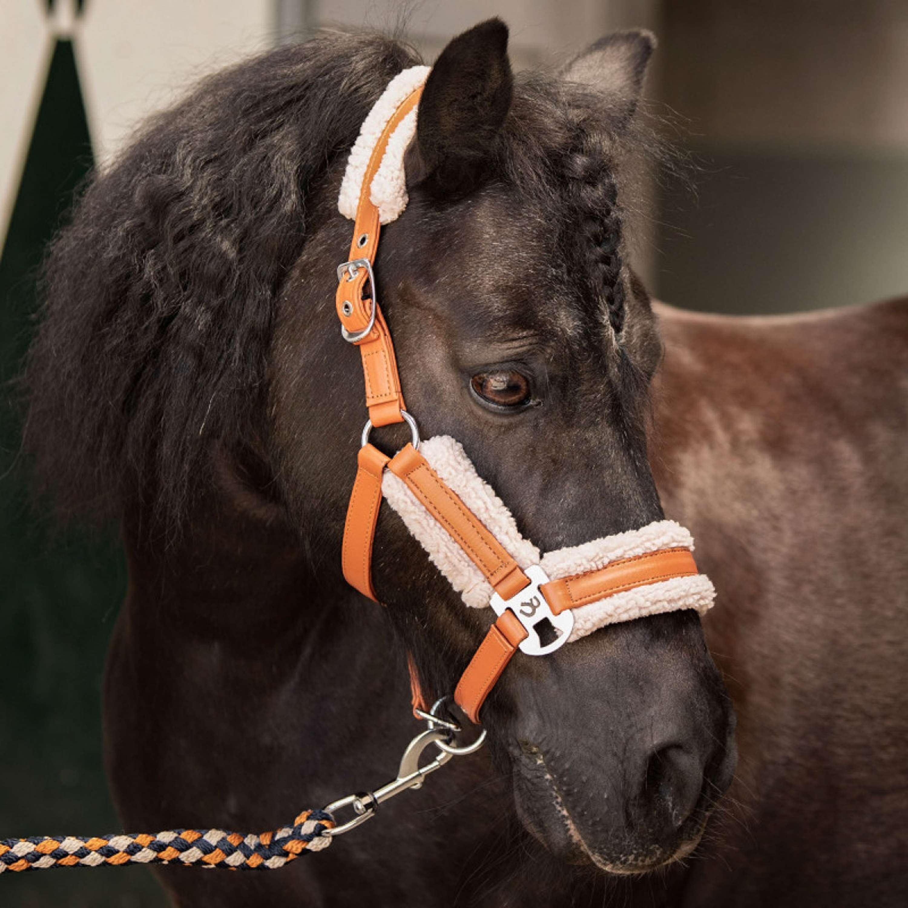 Harry's Horse Juego de Cabestro STOUT! Maverick Bran