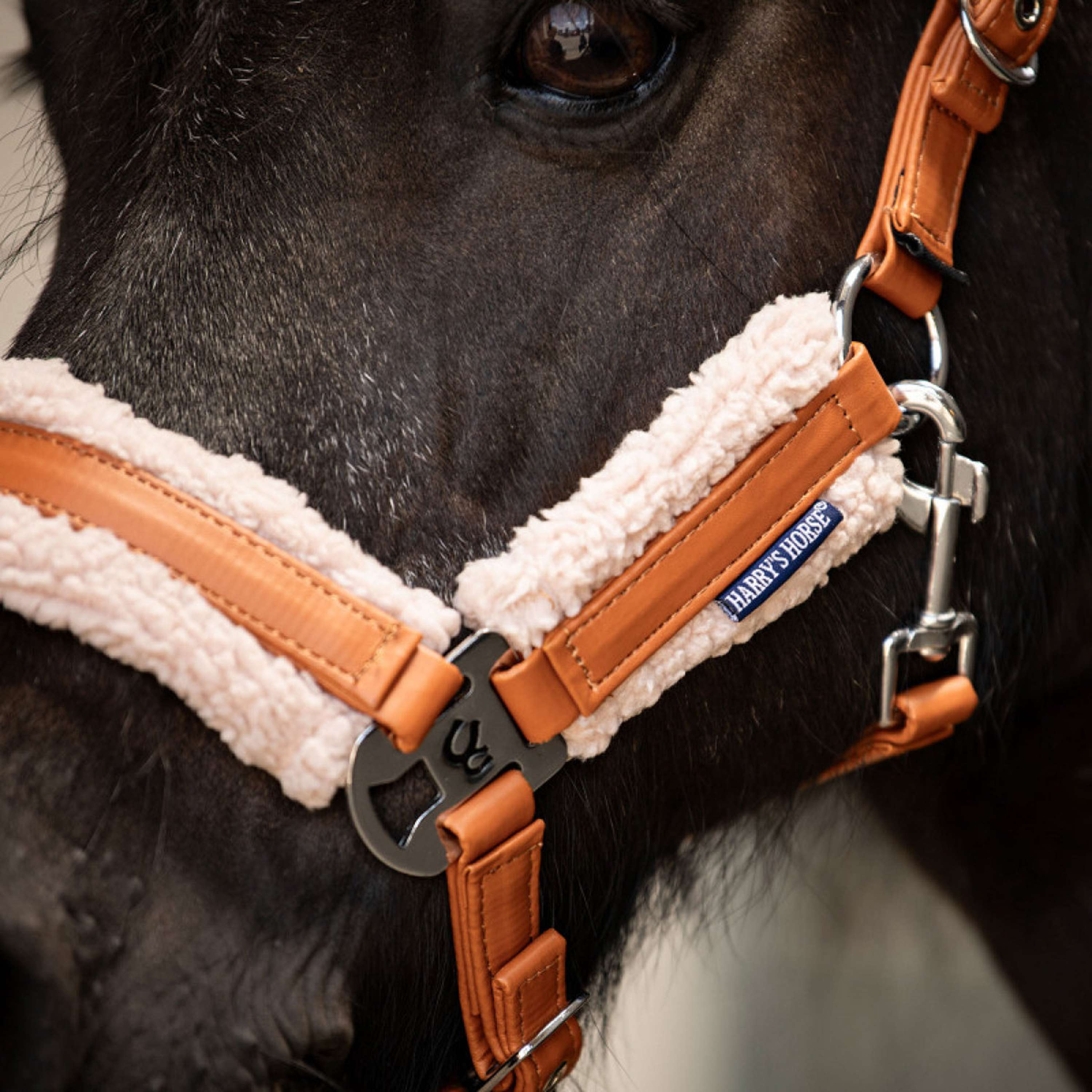 Harry's Horse Juego de Cabestro STOUT! Maverick Bran