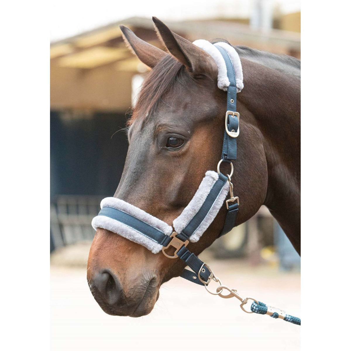 Harry's Horse Juego de Cabestro Just Ride Retro Soft Navy