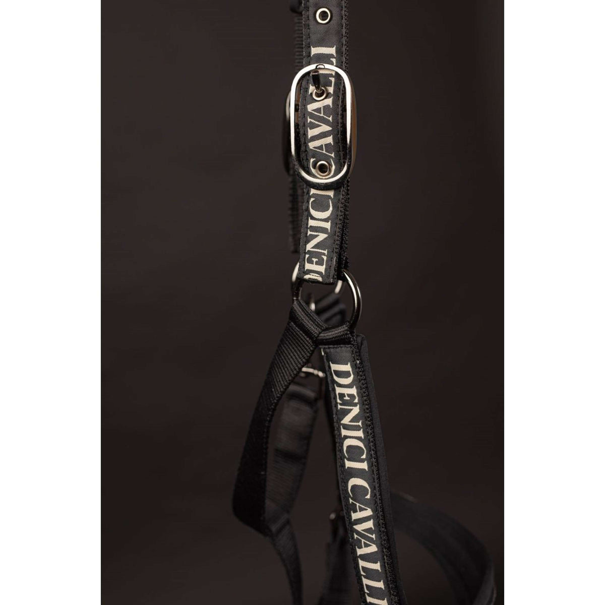 Harry's Horse Juego de Cabestro Denici Cavalli Stardust Negro