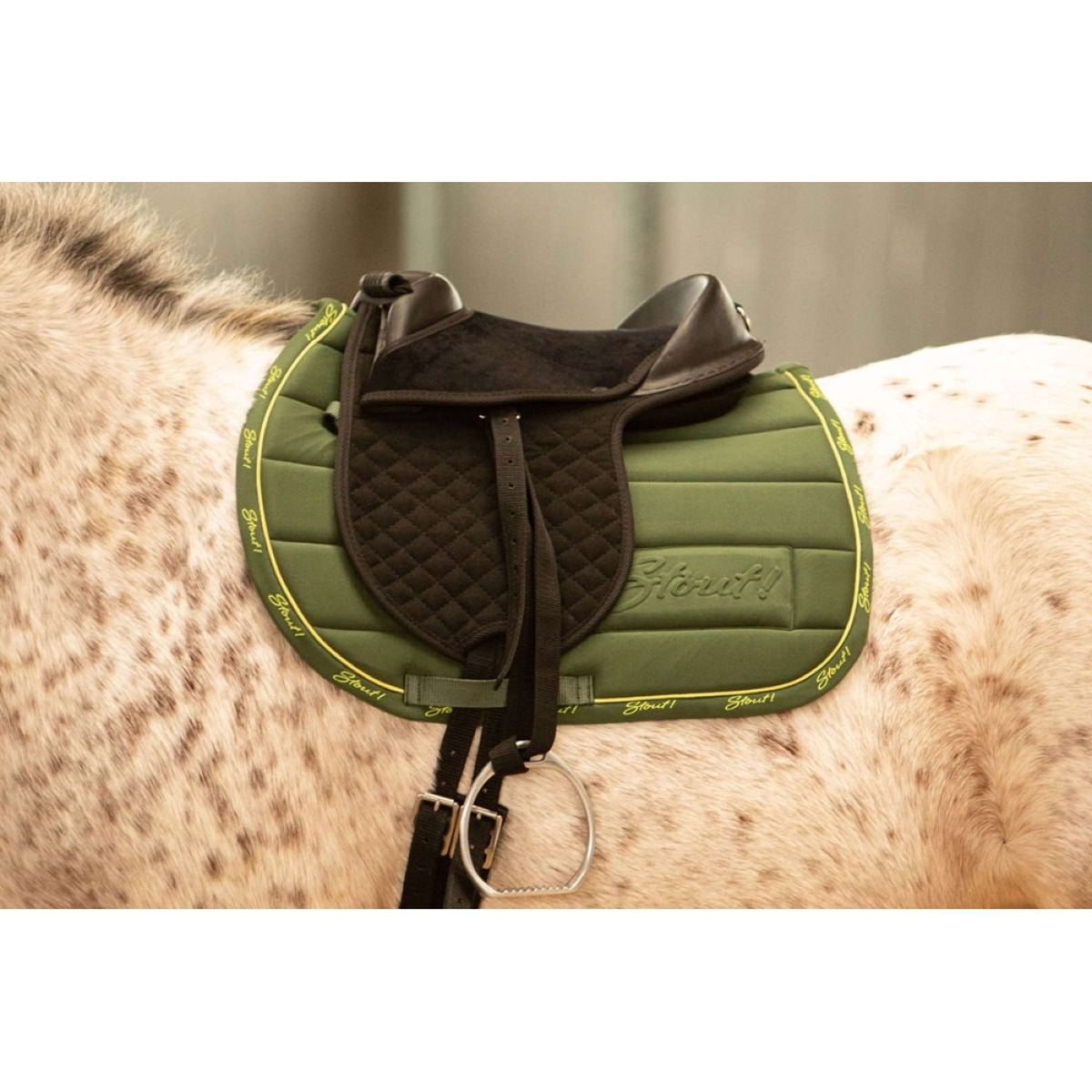 Harry's Horse Mantilla STOUT! Lime Verde Militar