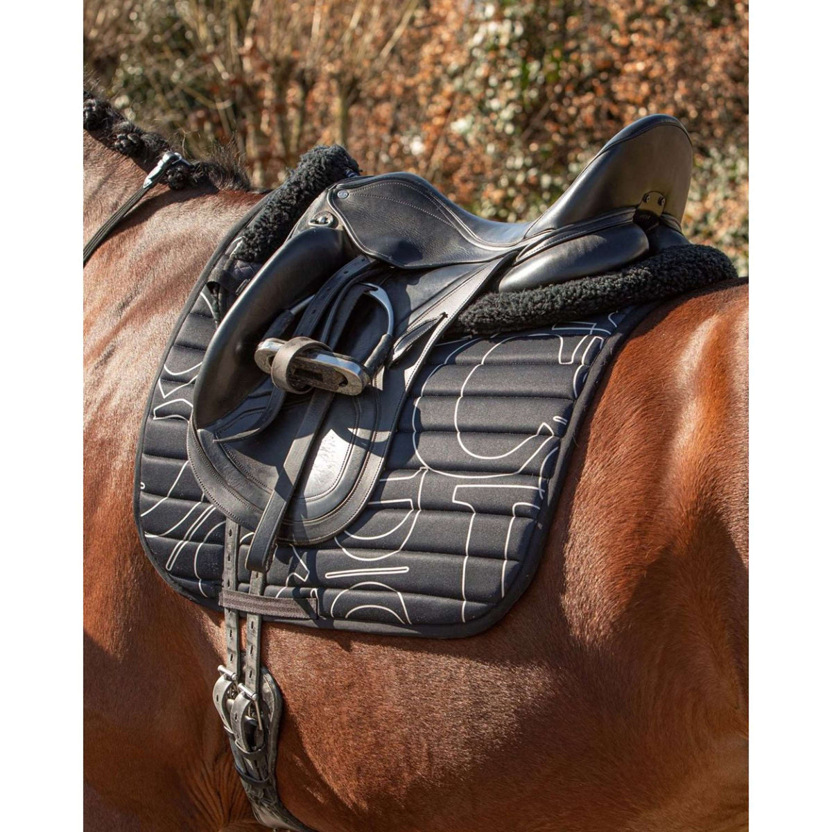 Harry's Horse Mantilla Denici Cavalli Stardust Design Doma clásica Negro