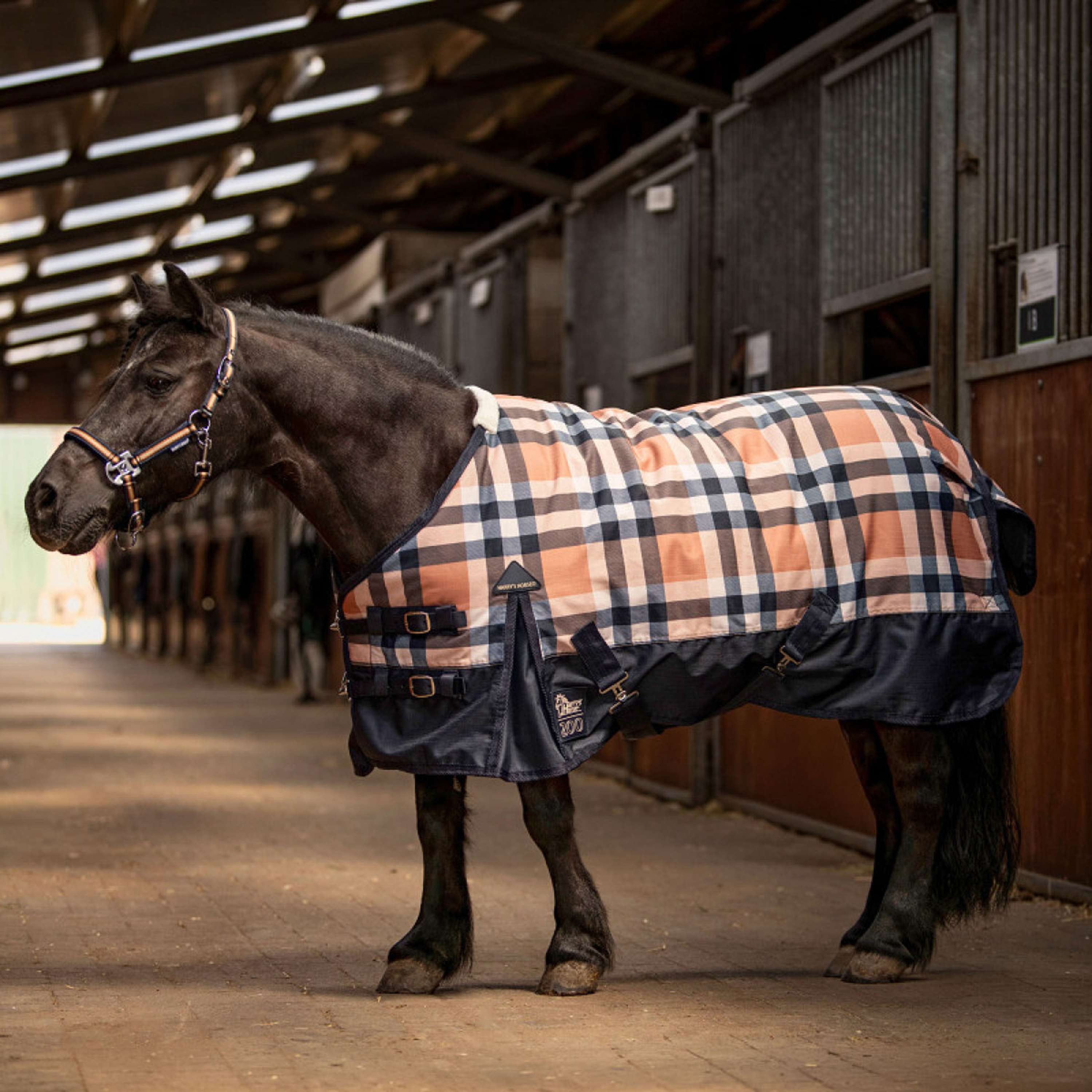 Harry's Horse Manta Impermeable STOUT! Maverick 200g Total Eclipse