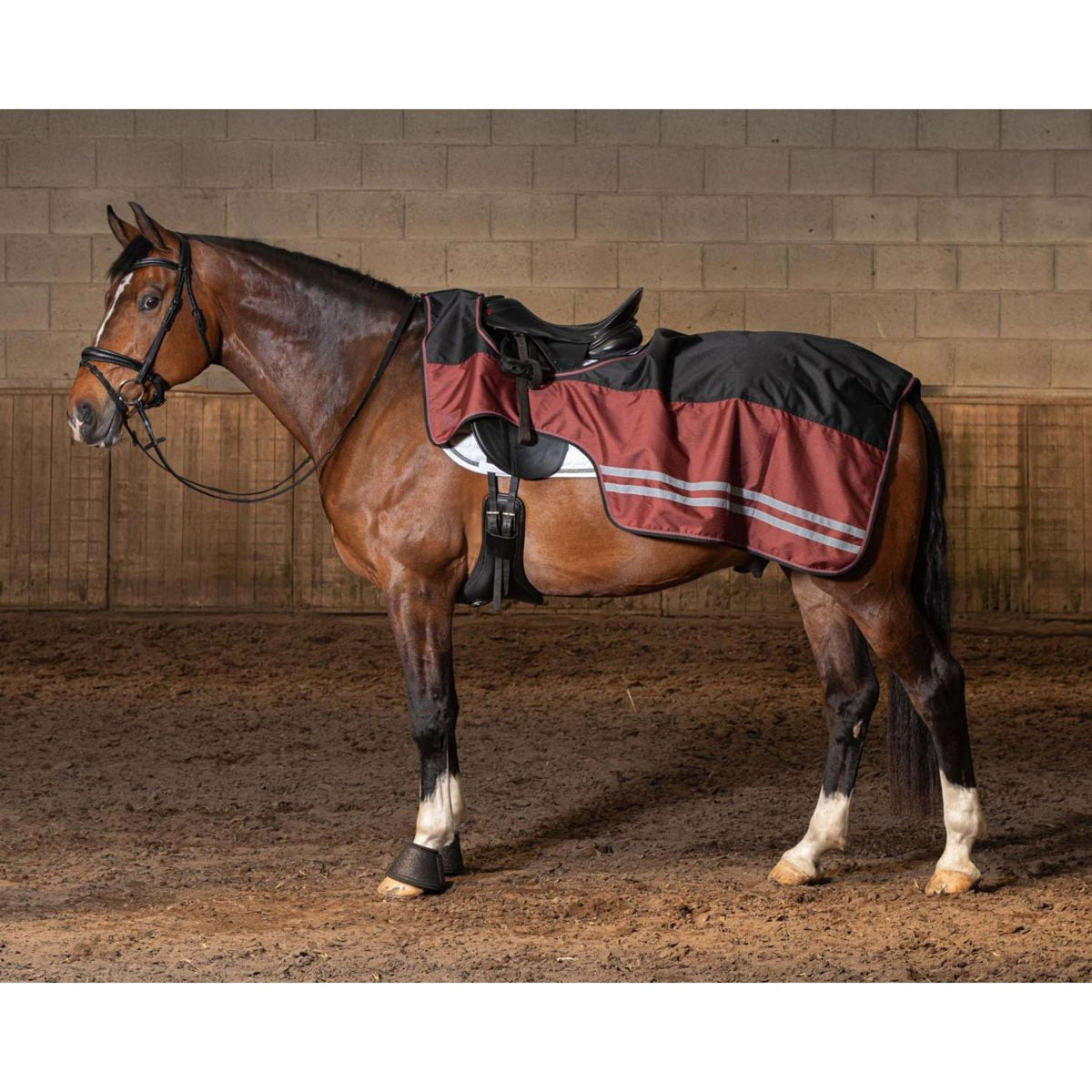 Harry's Horse Manta de ejercicio WI25 Fleece 0gr Impermeable Jet Black