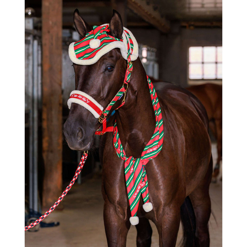 Harry's Horse Bufanda Christmas '26 Rojo