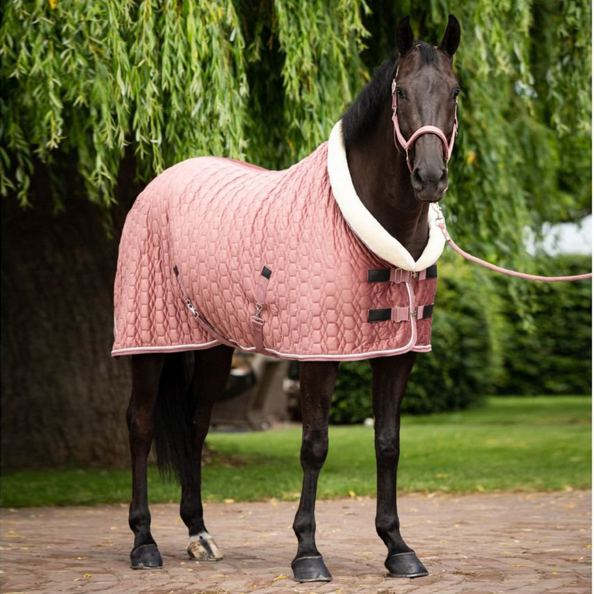 HB Manta de exhibición Velvet Peach Tropical 160g Melocoton