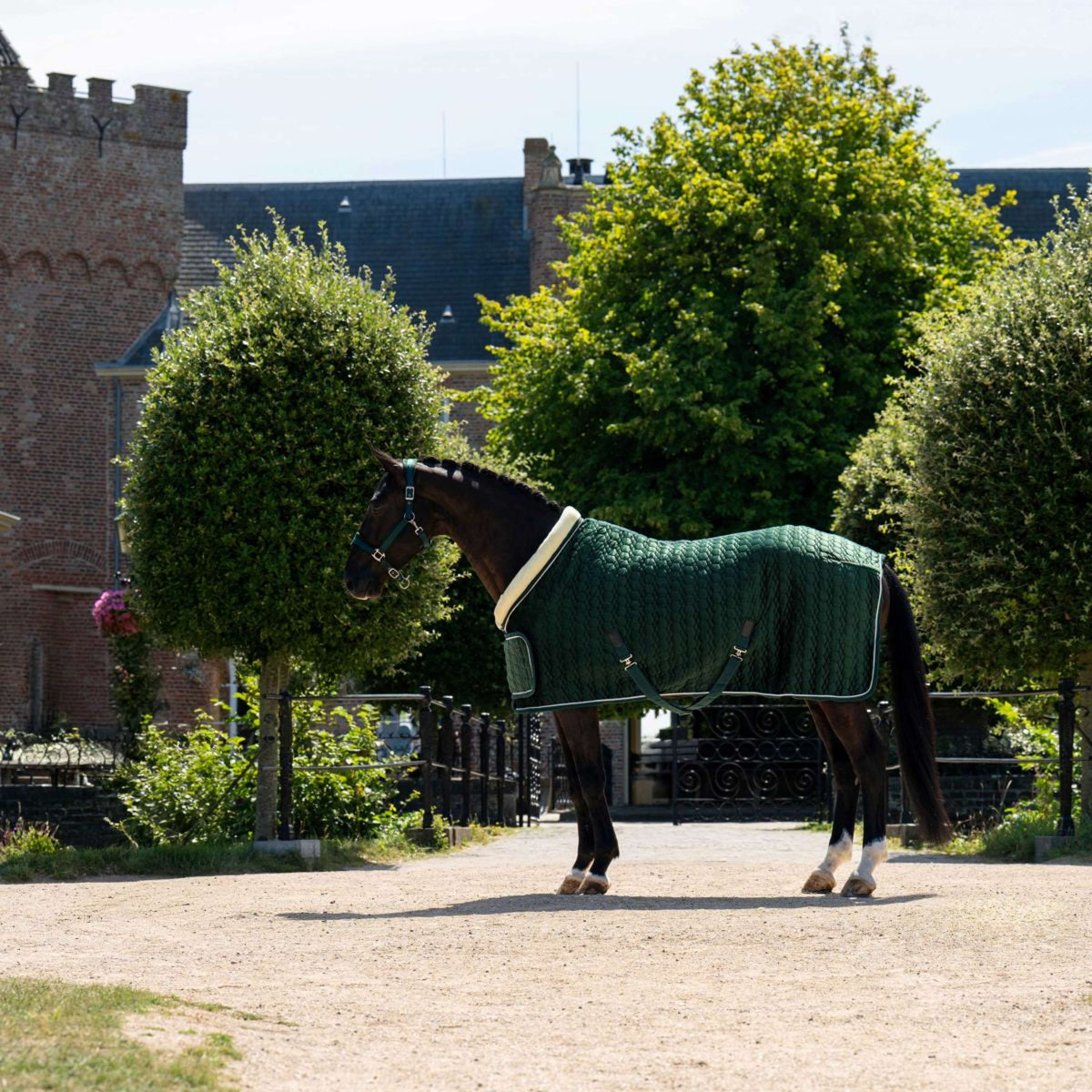 HB Ruitersport Manta de exhibición Special Peach Forest Green