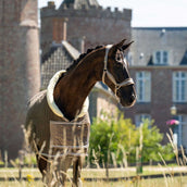 HB Ruitersport Manta de exhibición Special Peach Taupe