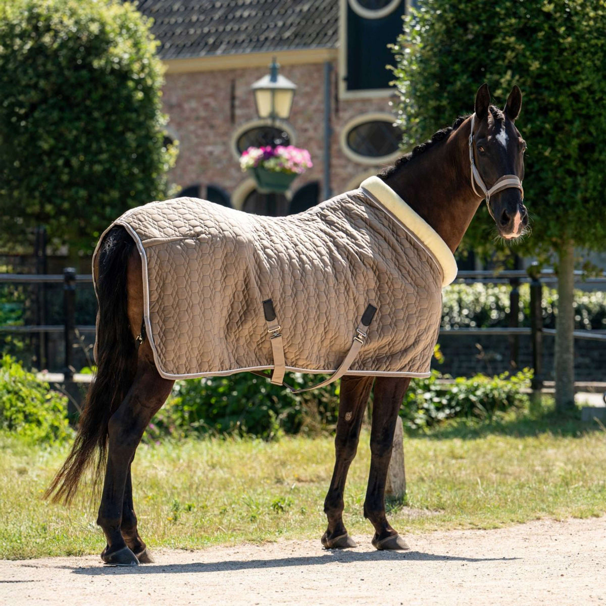 HB Ruitersport Manta de exhibición Special Peach Taupe