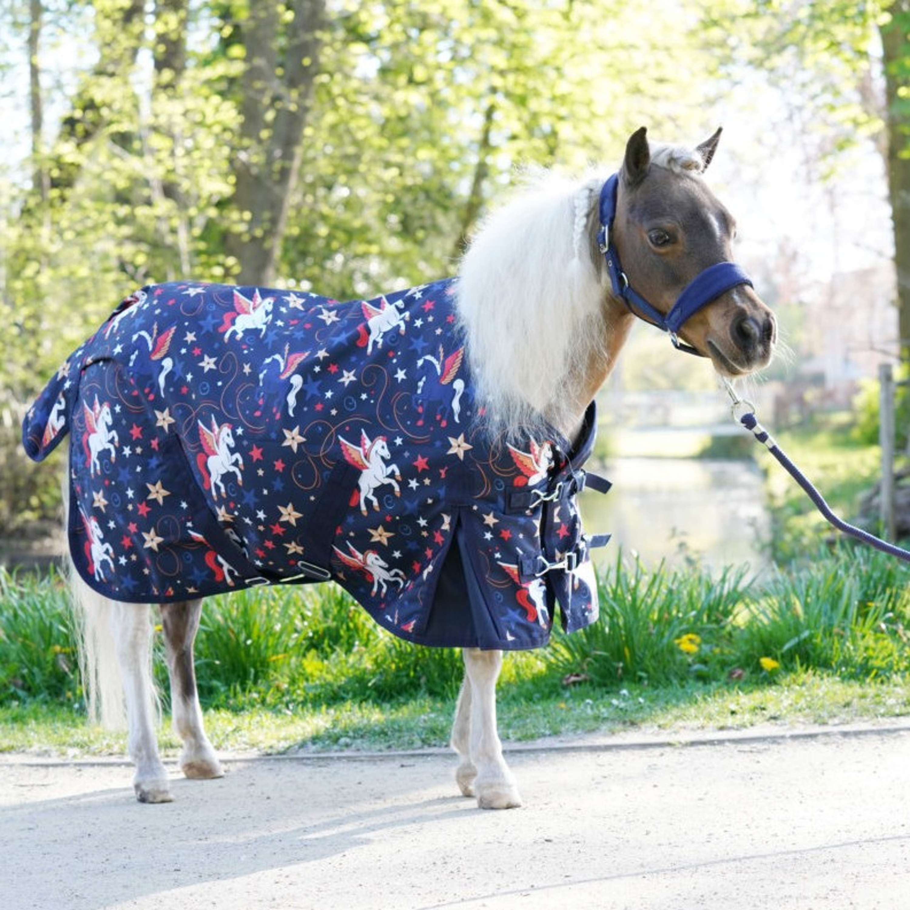 HB Alfombra de Exterior Little Sizes Navy Flying Horse