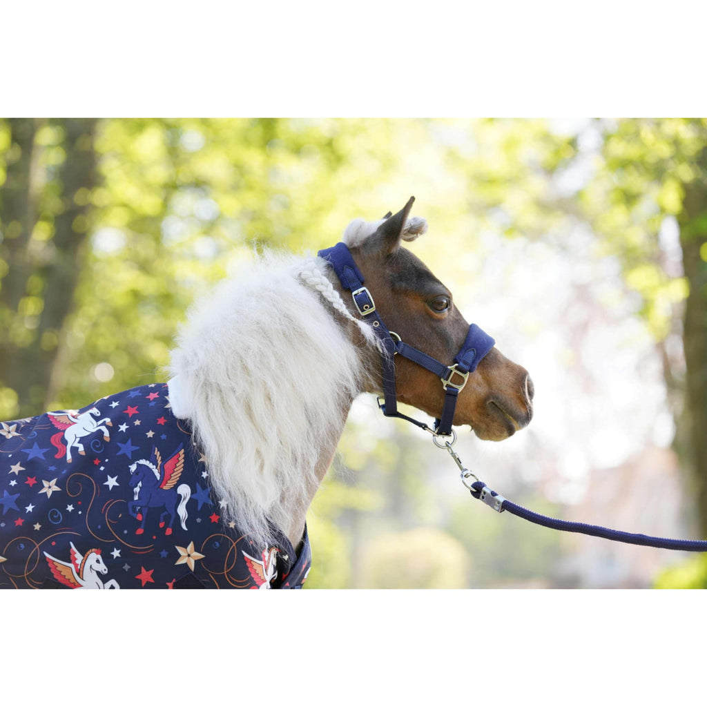 HB Alfombra de Exterior Little Sizes navy flying horse