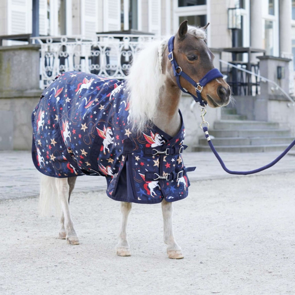 HB Alfombra de Exterior Little Sizes navy flying horse