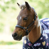 HB Ruitersport Alfombra de Exterior Harry and Hector 200g Unicorn Dream