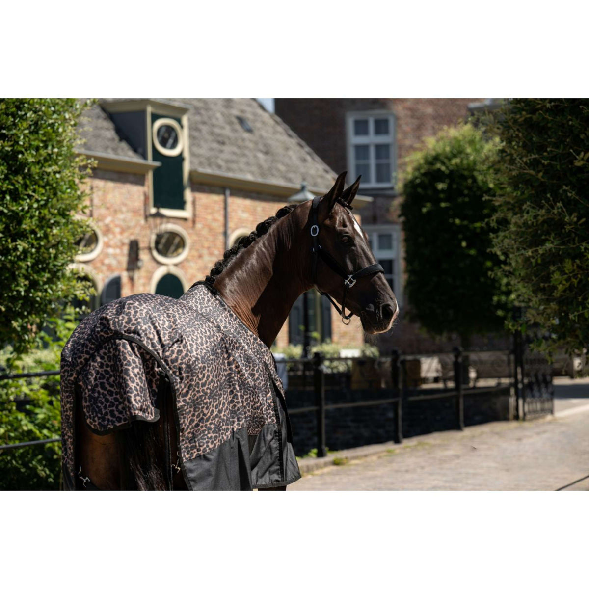 HB Alfombra de Exterior Leopard 0g Leopardo