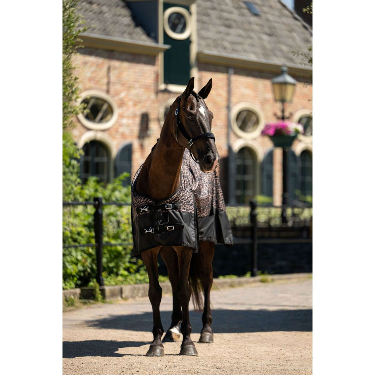 HB Alfombra de Exterior Leopard 0g Leopardo