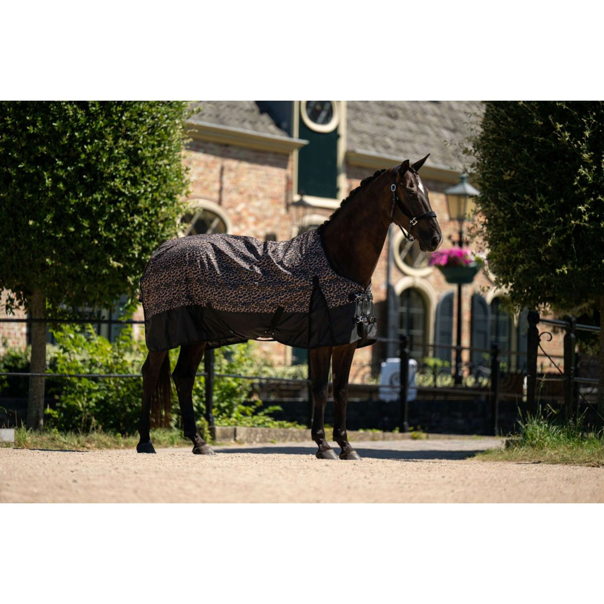 HB Alfombra de Exterior Leopard 0g Leopardo