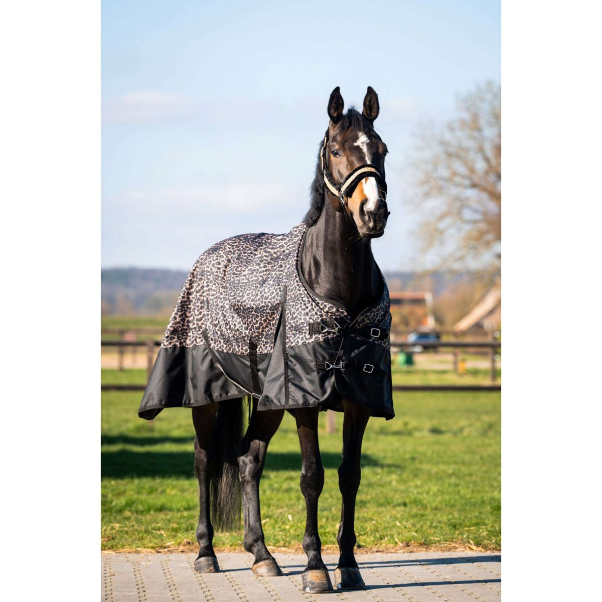 HB Alfombra de Exterior Leopard 0g Leopardo