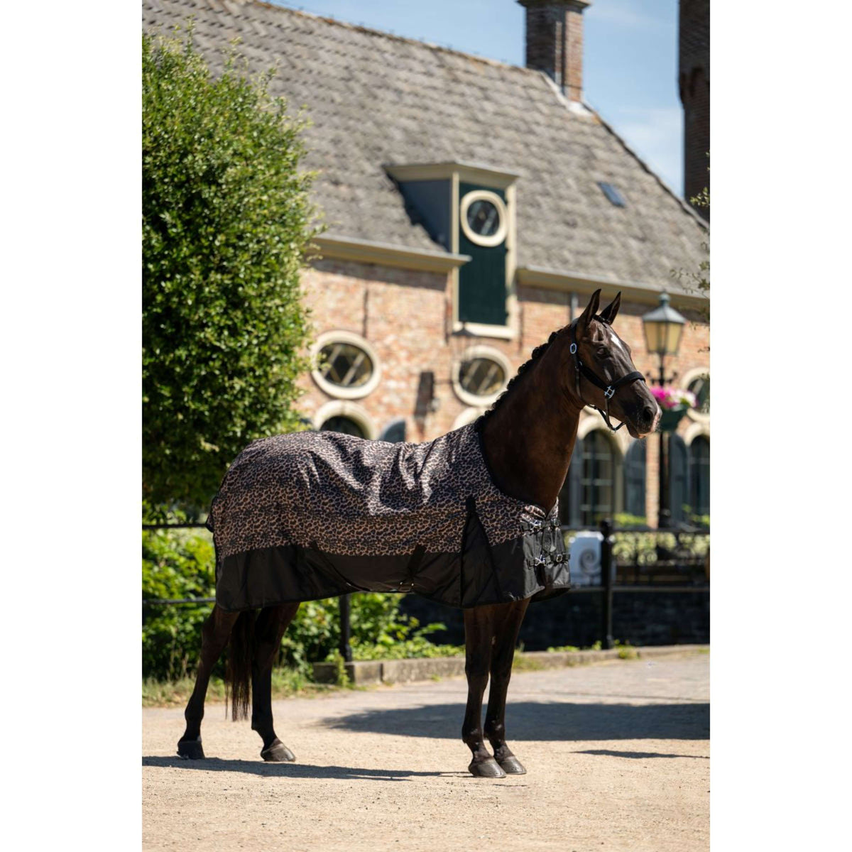 HB Alfombra de Exterior Leopard 0g Leopardo