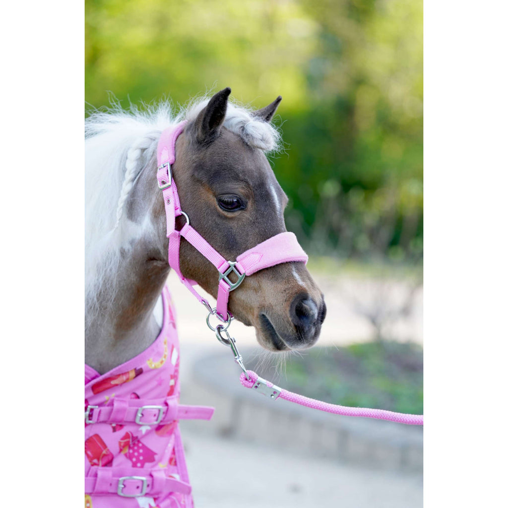 HB Alfombra de Exterior Little Sizes prairie pink by sanne